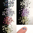 立体スターホロ [全11色]