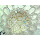 オーロラ スター【ホワイト】2ｇ