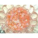 オーロラ スター【サーモンピンク】2ｇ