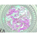 Dolphin イルカ【ホワイト】3g