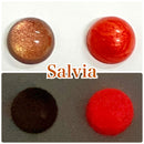 【ネットショップ限定】 星空のサルビアSET【数量限定】