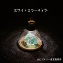 LEDキャップ [全28色] キャップの色：全4色 × ライトの色：全7色