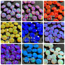 【彩光オパール】5ｍｍダイヤカット〔全39色〕