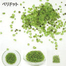 【天然石】 さざれ石 5Aランク [全21種類][5ｇ入り]